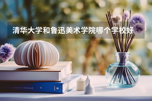 清华大学和鲁迅美术学院哪个学校好 录取分数线对比
