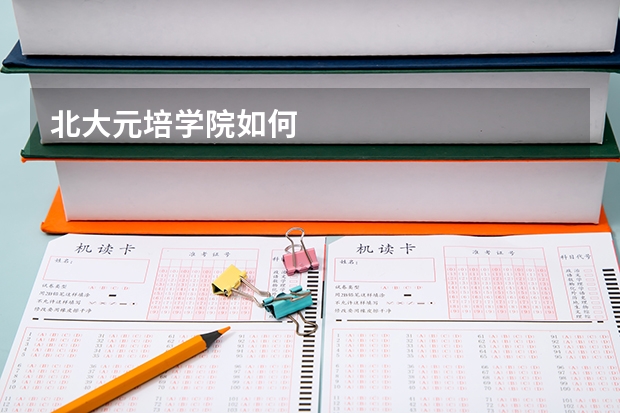 北大元培学院如何