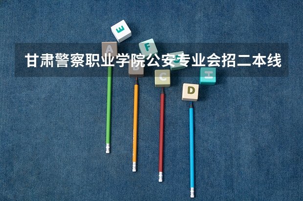 甘肃警察职业学院公安专业会招二本线以下的吗