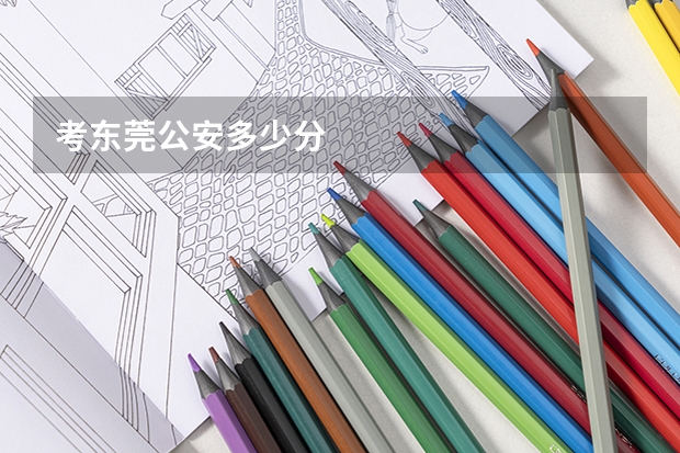 考东莞公安多少分
