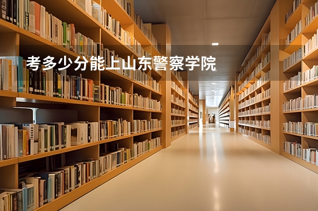 考多少分能上山东警察学院