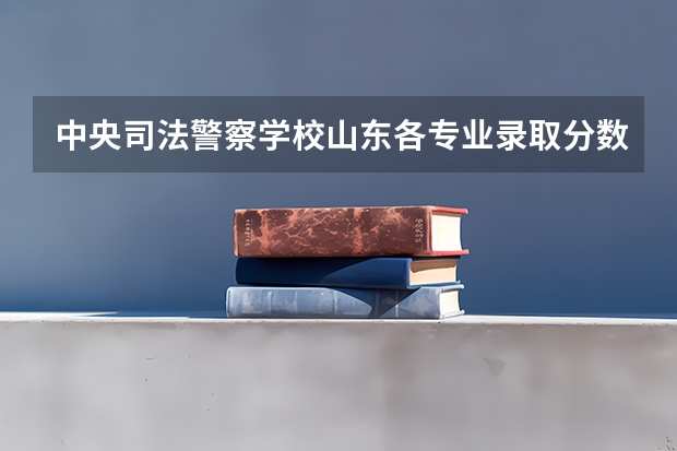 中央司法警察学校山东各专业录取分数 上海文职辅警笔试分数线