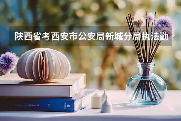陕西省考西安市公安局新城分局执法勤务岗录取分数线 国考进面试分数线
