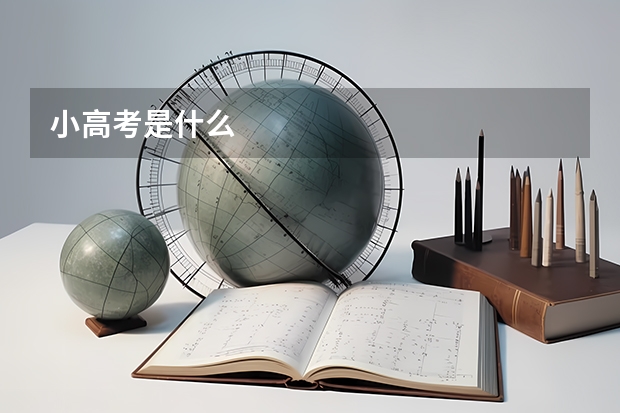 小高考是什么