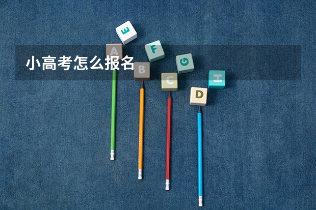 小高考怎么报名