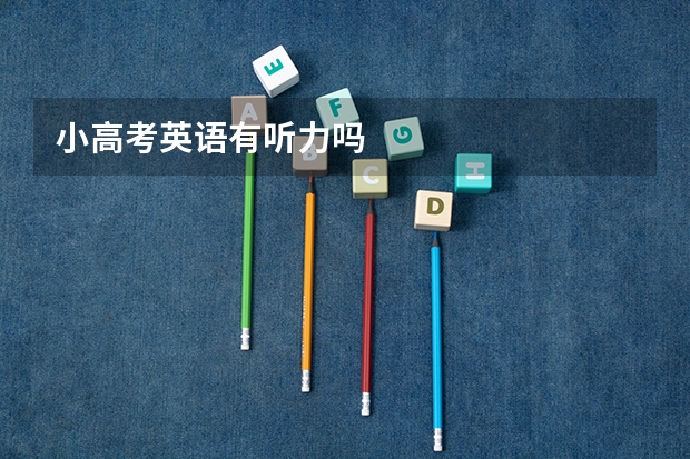 小高考英语有听力吗