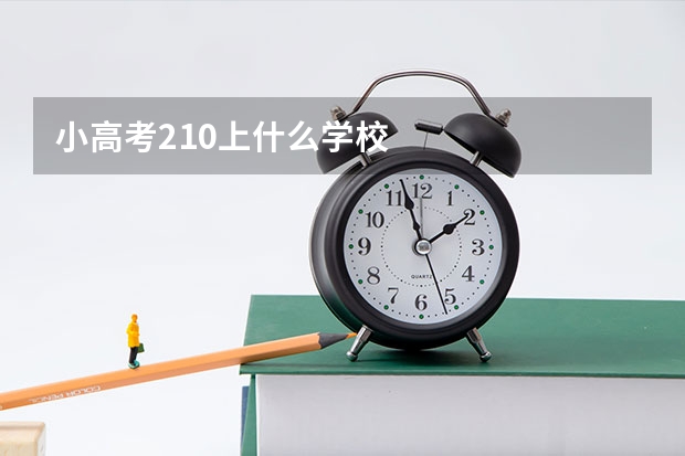 小高考210上什么学校