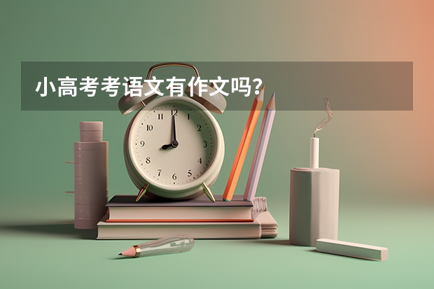 小高考考语文有作文吗？