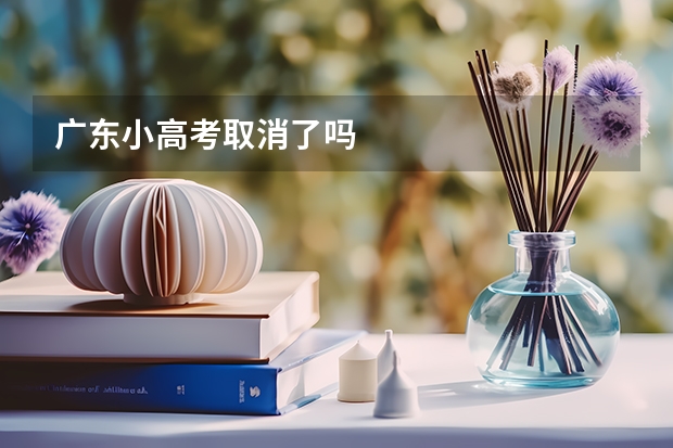 广东小高考取消了吗