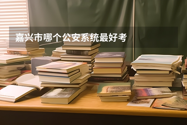 嘉兴市哪个公安系统最好考
