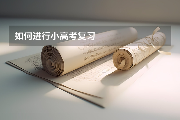 如何进行小高考复习