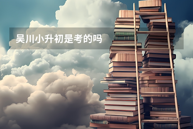 吴川小升初是考的吗