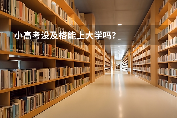 小高考没及格能上大学吗？