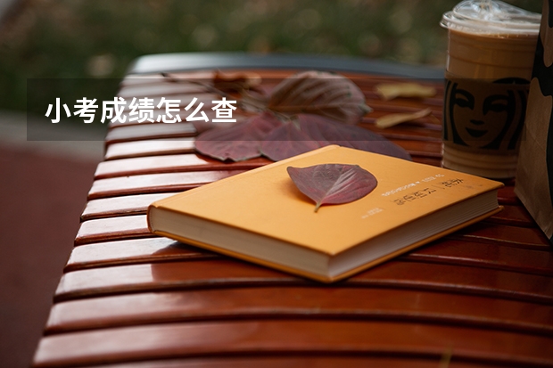小考成绩怎么查