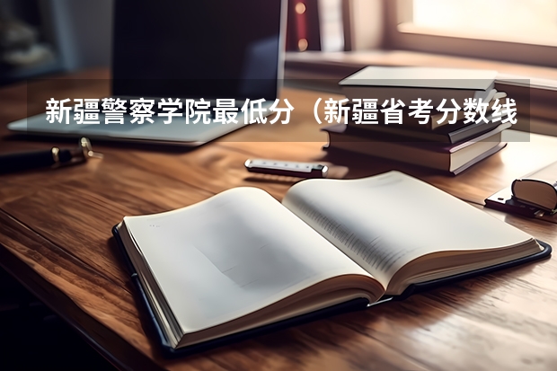 新疆警察学院最低分（新疆省考分数线）