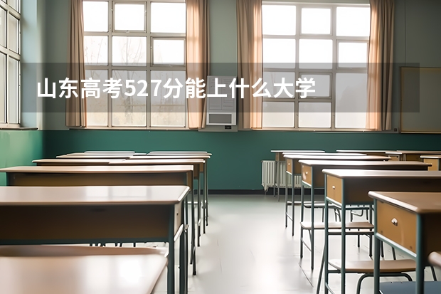 山东高考527分能上什么大学
