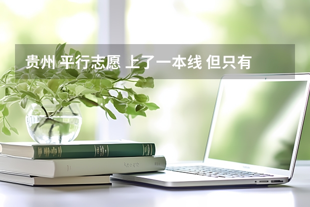 贵州 平行志愿 上了一本线 但只有一本实行平行志愿 我想报一两个二本学校 可以一本二本混报吗？