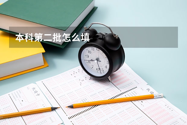 本科第二批怎么填