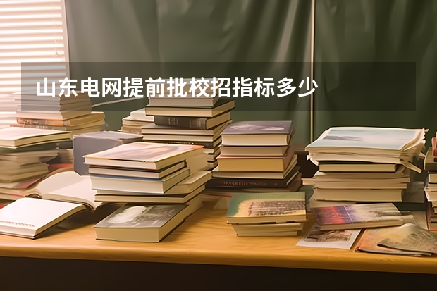 山东电网提前批校招指标多少