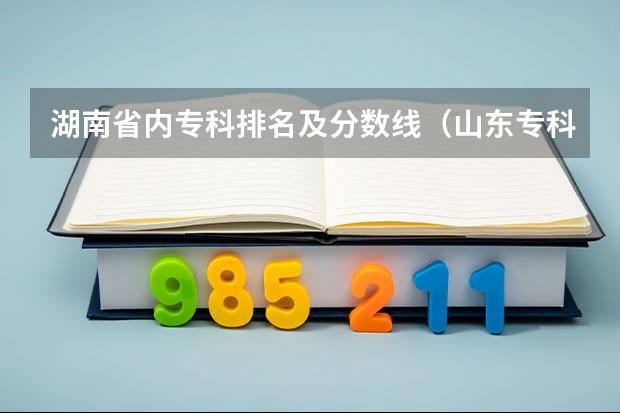湖南省内专科排名及分数线（山东专科学校排名公办分数线）