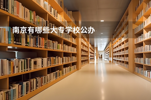 南京有哪些大专学校公办