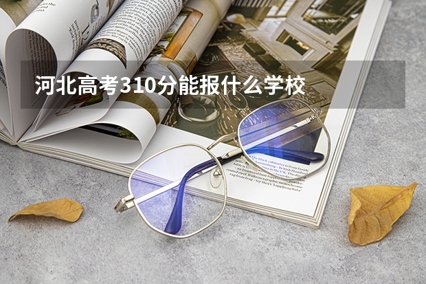 河北高考310分能报什么学校