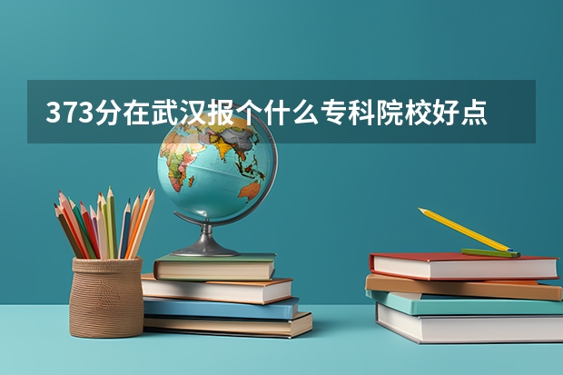 373分在武汉报个什么专科院校好点？满意分数全给！