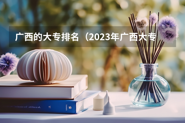广西的大专排名（2023年广西大专录取分数线）