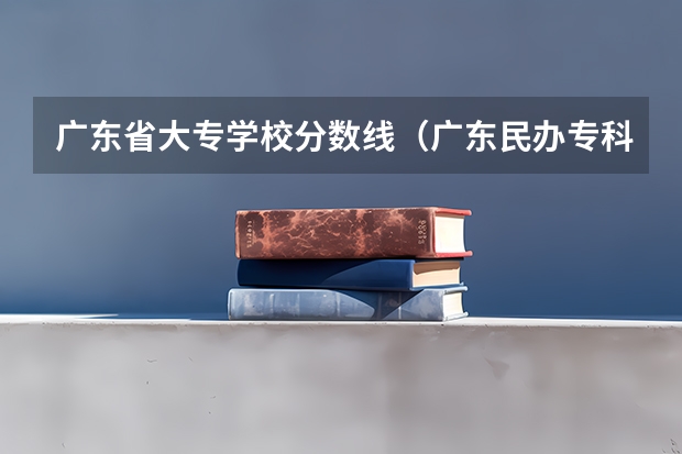 广东省大专学校分数线（广东民办专科学校排名及分数线）