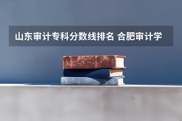 山东审计专科分数线排名 合肥审计学院分数线