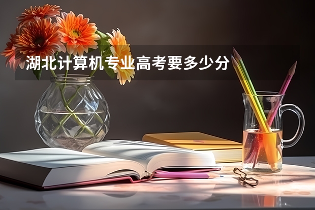 湖北计算机专业高考要多少分