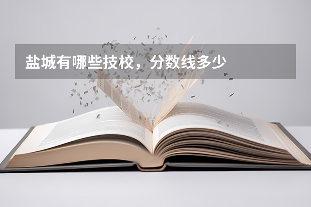 盐城有哪些技校，分数线多少