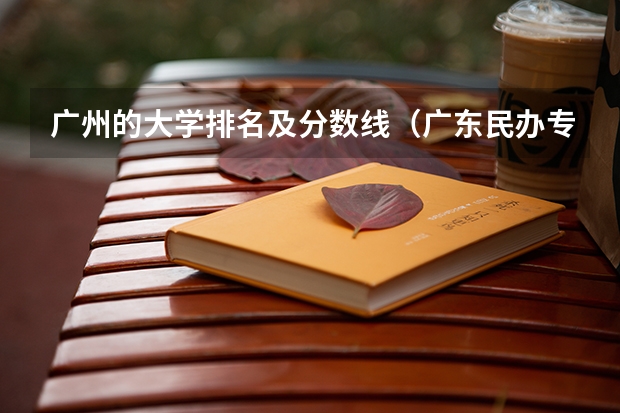 广州的大学排名及分数线（广东民办专科学校排名及分数线）