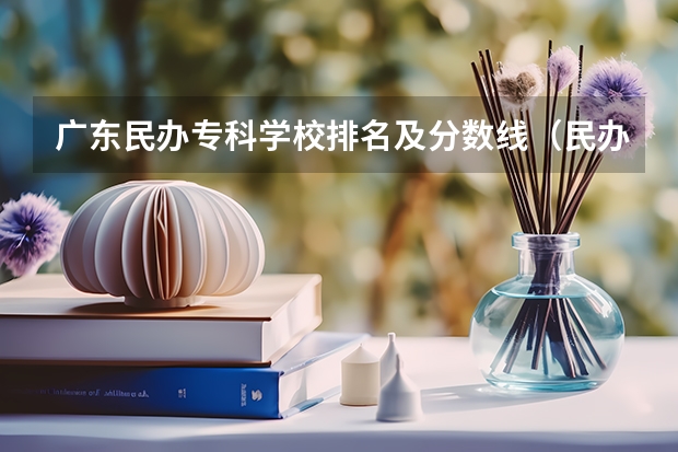 广东民办专科学校排名及分数线（民办大学最低分数线）