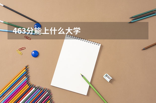 463分能上什么大学