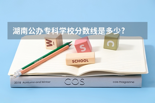 湖南公办专科学校分数线是多少?