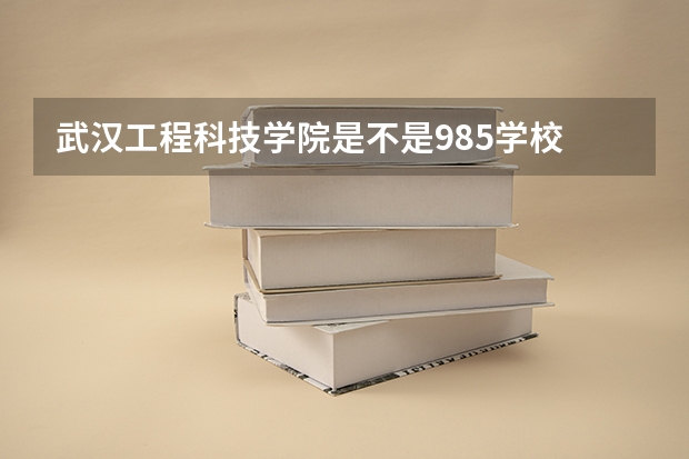 武汉工程科技学院是不是985学校 武汉工程科技学院有哪些王牌的专业