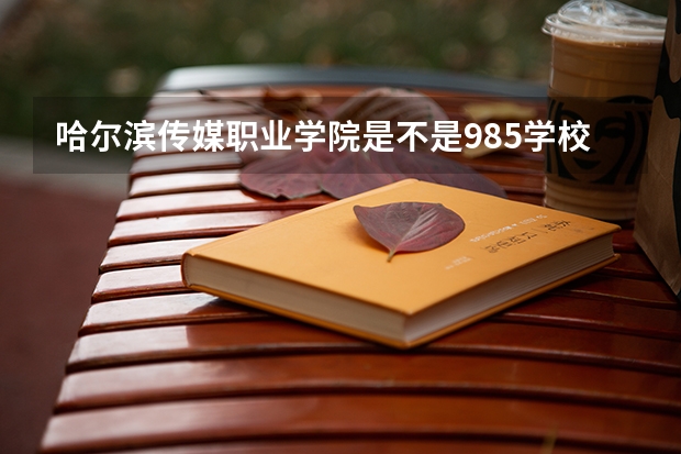 哈尔滨传媒职业学院是不是985学校 哈尔滨传媒职业学院有哪些王牌的专业