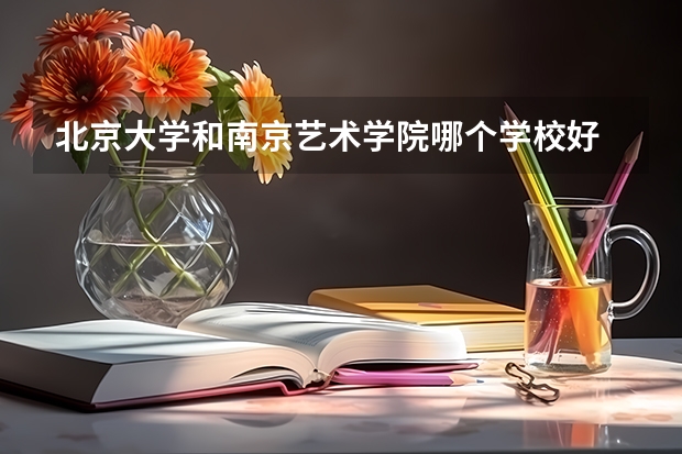 北京大学和南京艺术学院哪个学校好 录取分数线对比