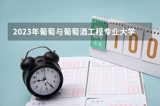 2023年葡萄与葡萄酒工程专业大学排名 葡萄与葡萄酒工程专业前十名大学